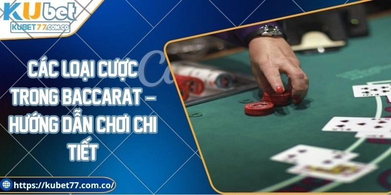 Các Loại Cược Trong Baccarat – Hướng Dẫn Chơi Chi Tiết