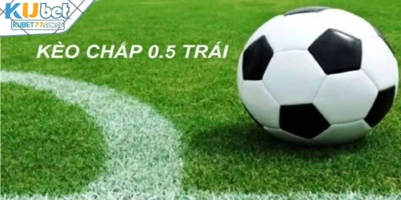 Hình thức kèo Handicap 0.5 trái